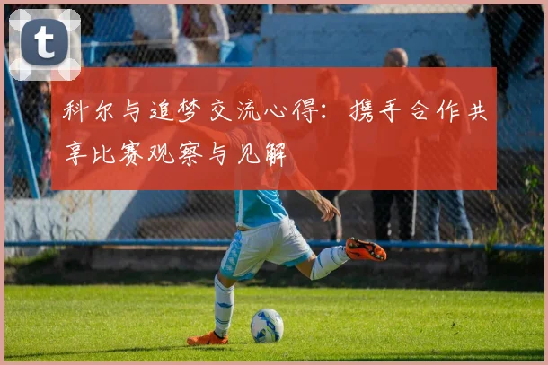 科尔与追梦交流心得：携手合作共享比赛观察与见解